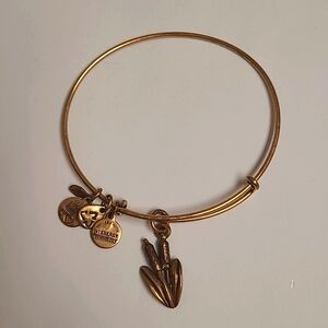 Alex and Ani cattail bracelet